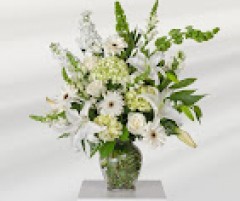 Seller Image